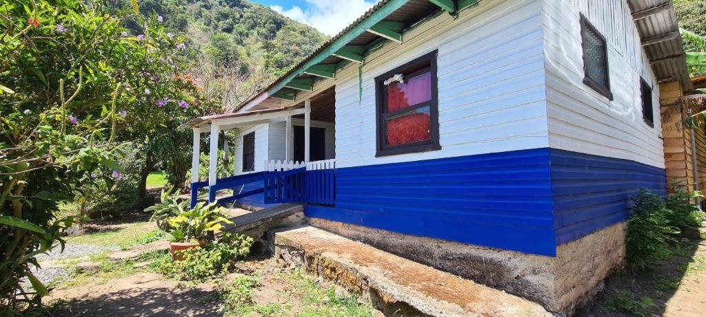 Glamping Monteverde Ngoại thất bức ảnh