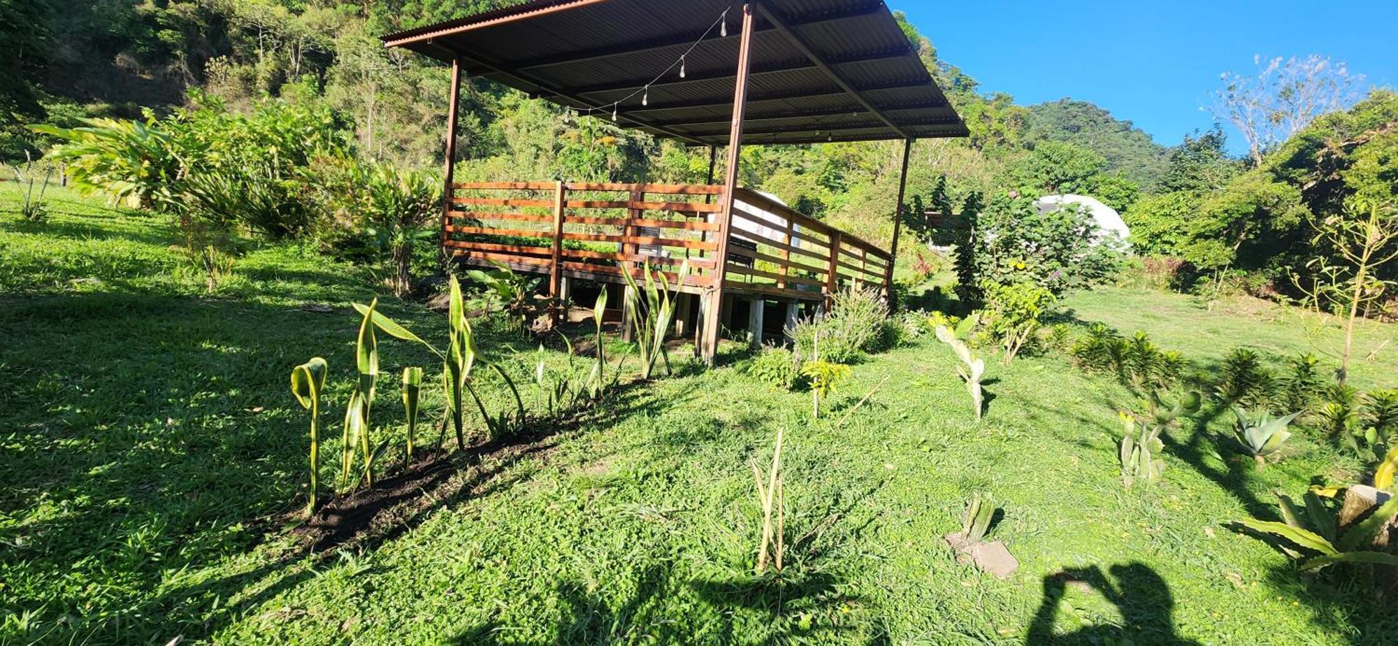 Glamping Monteverde Ngoại thất bức ảnh