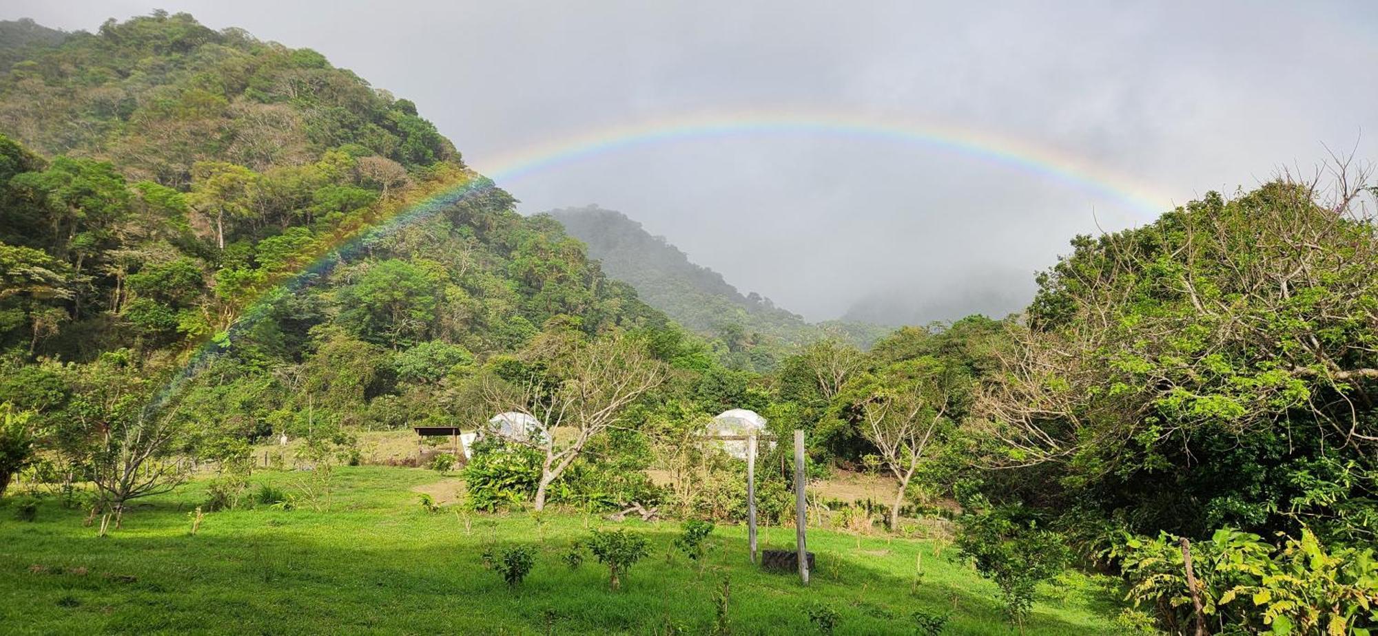 Glamping Monteverde Ngoại thất bức ảnh