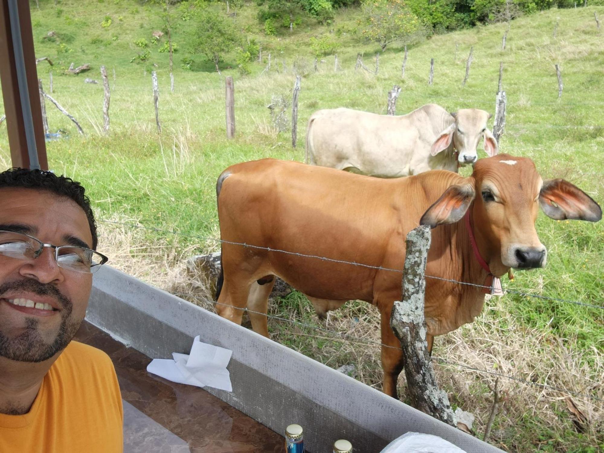 Glamping Monteverde Ngoại thất bức ảnh