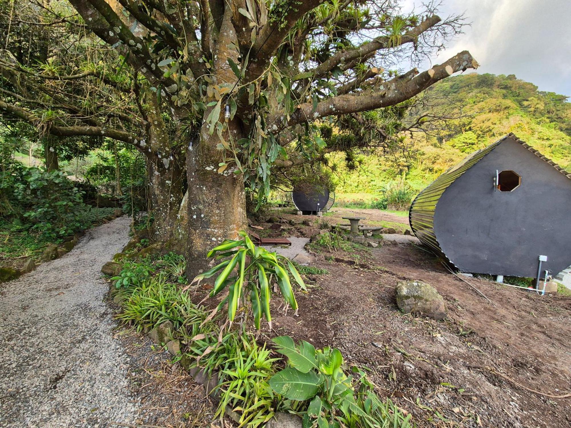 Glamping Monteverde Ngoại thất bức ảnh